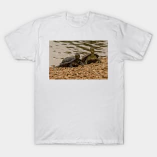 Red-eared Sliders T-Shirt